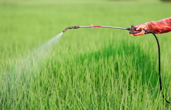 Silanes y siliconas utilizados en la agricultura